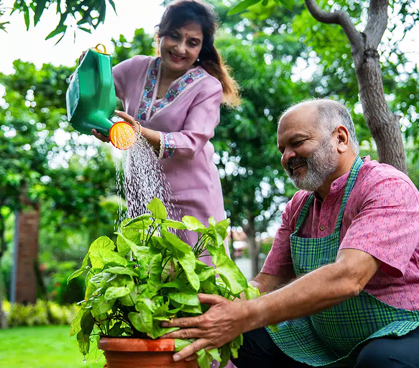 woman and man water plants together
